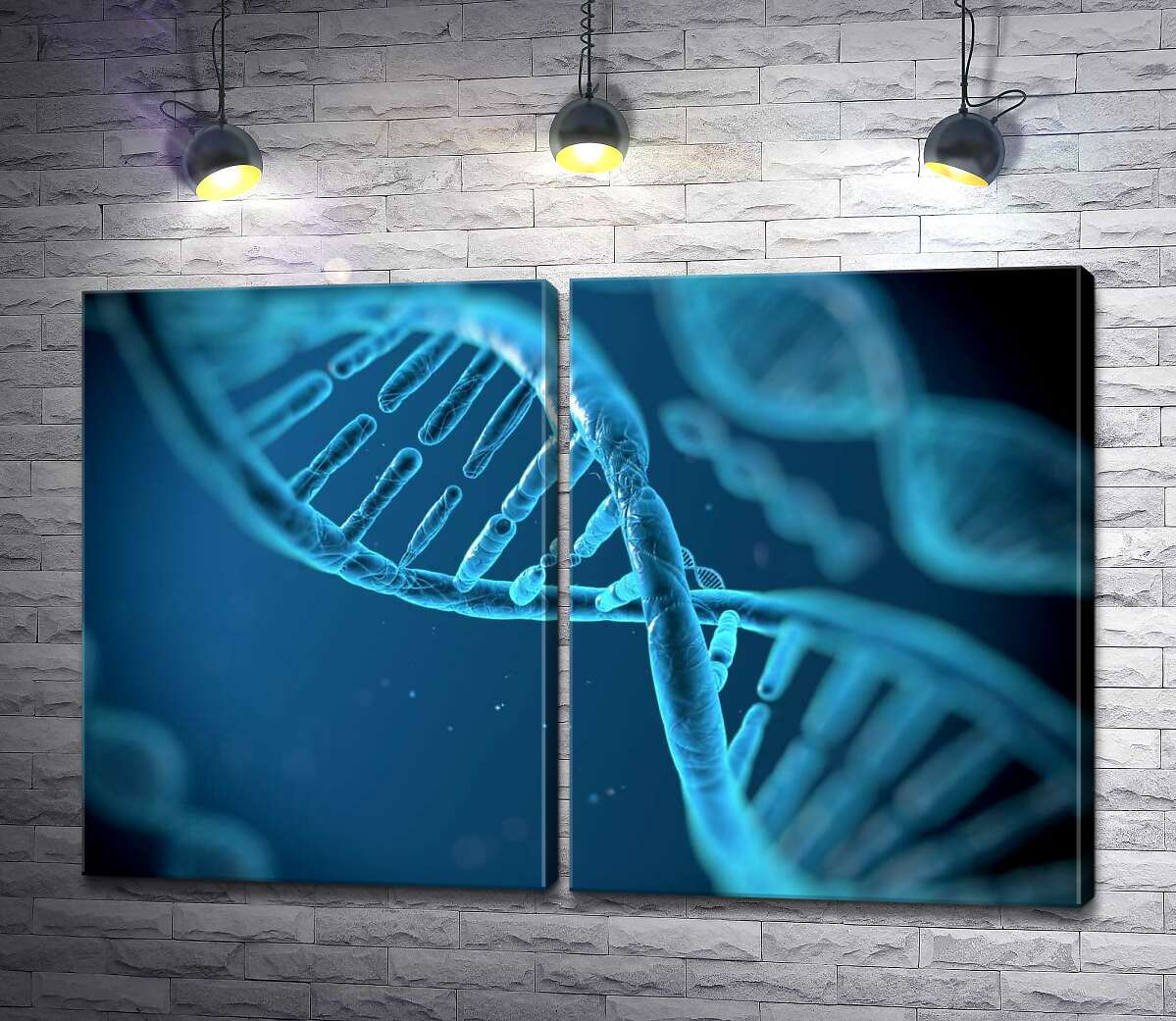 модульна картина Набір генів ДНК в хромосомах