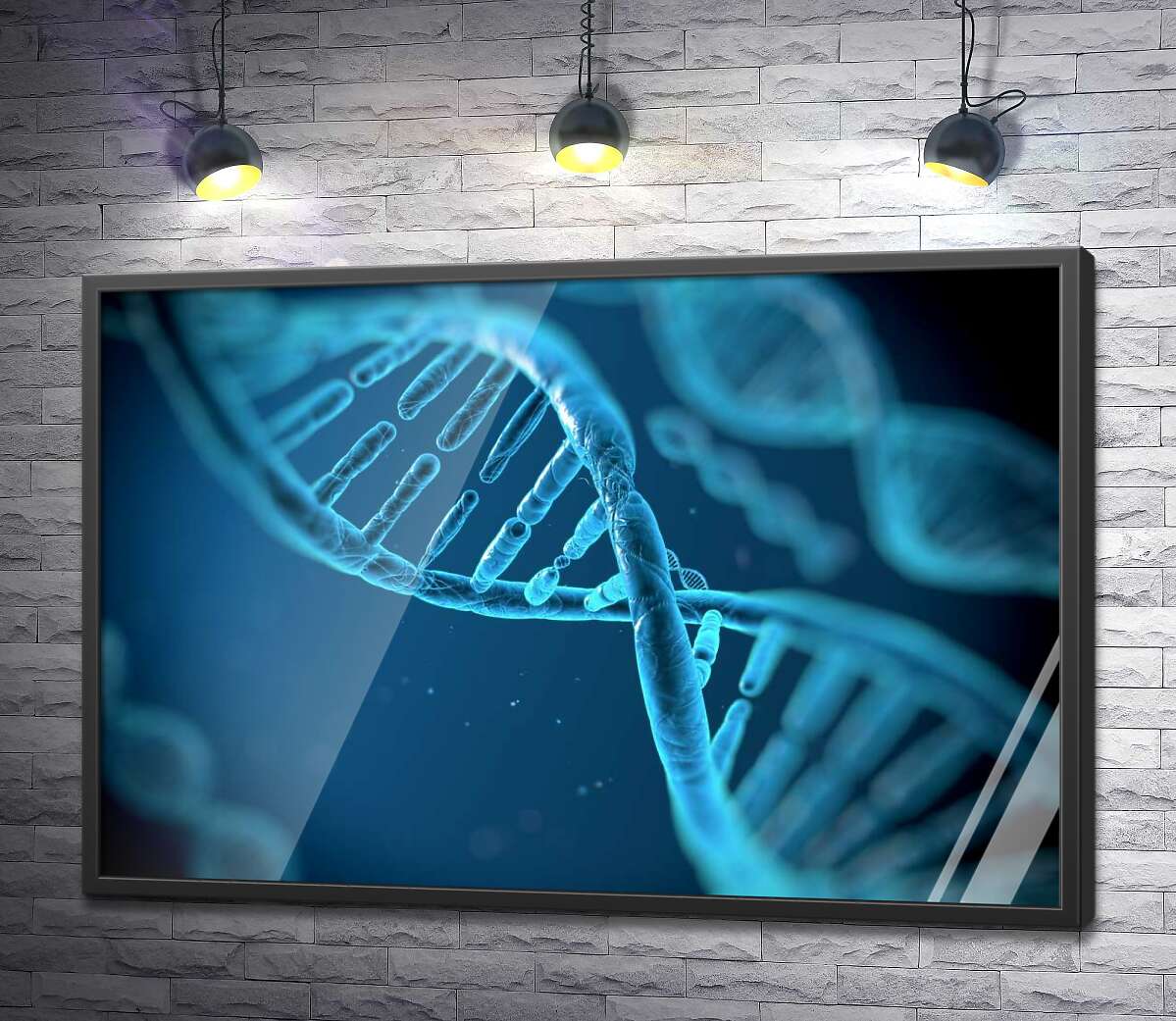 постер Набор генов ДНК в хромосомах