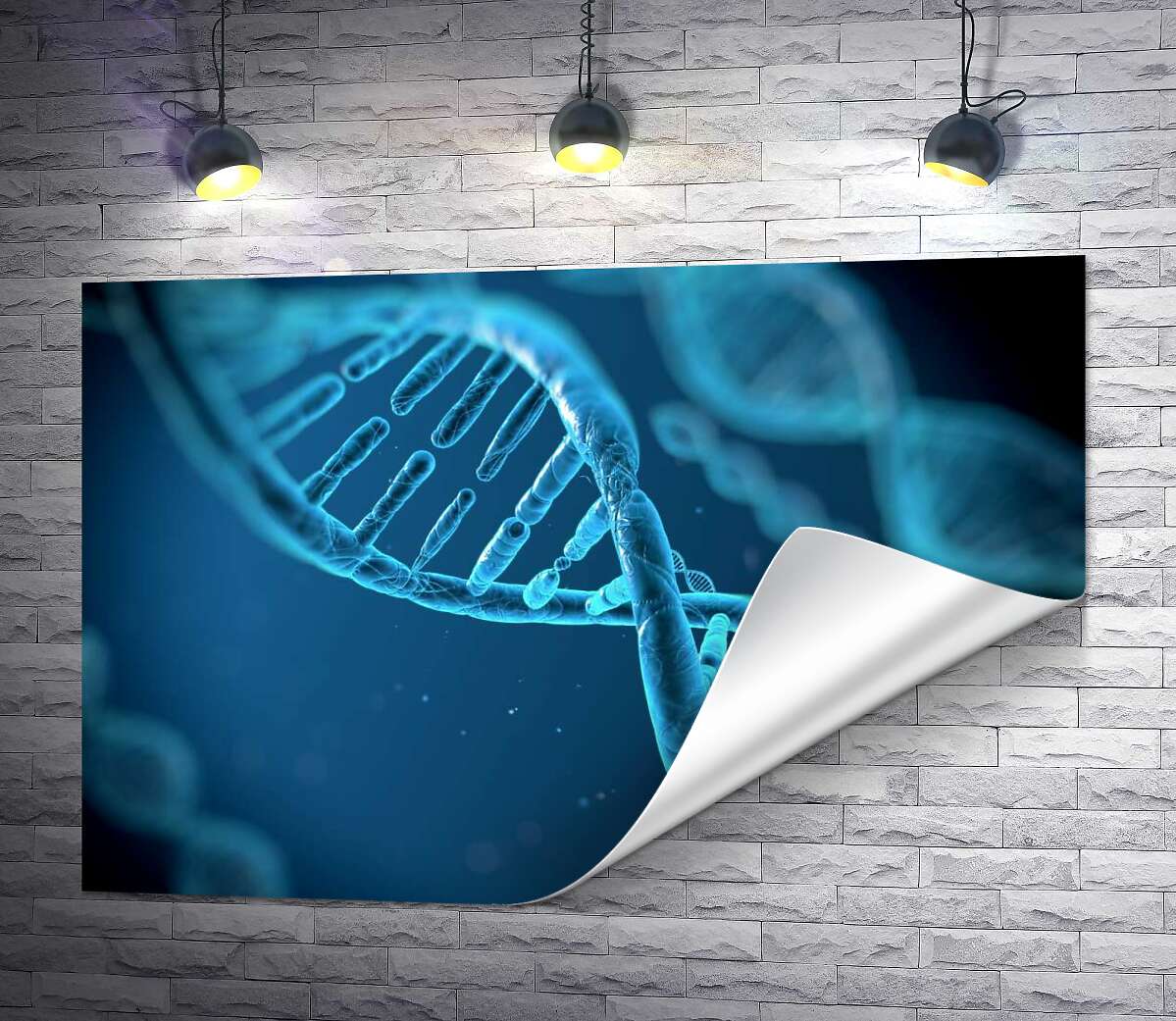 печать Набор генов ДНК в хромосомах