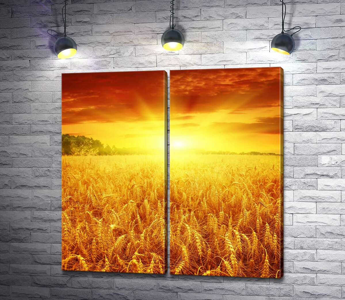 модульная картина Налитая пшеница колосится золотом в лучах солнца