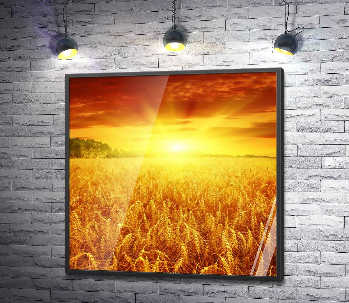 постер Налитая пшеница колосится золотом в лучах солнца