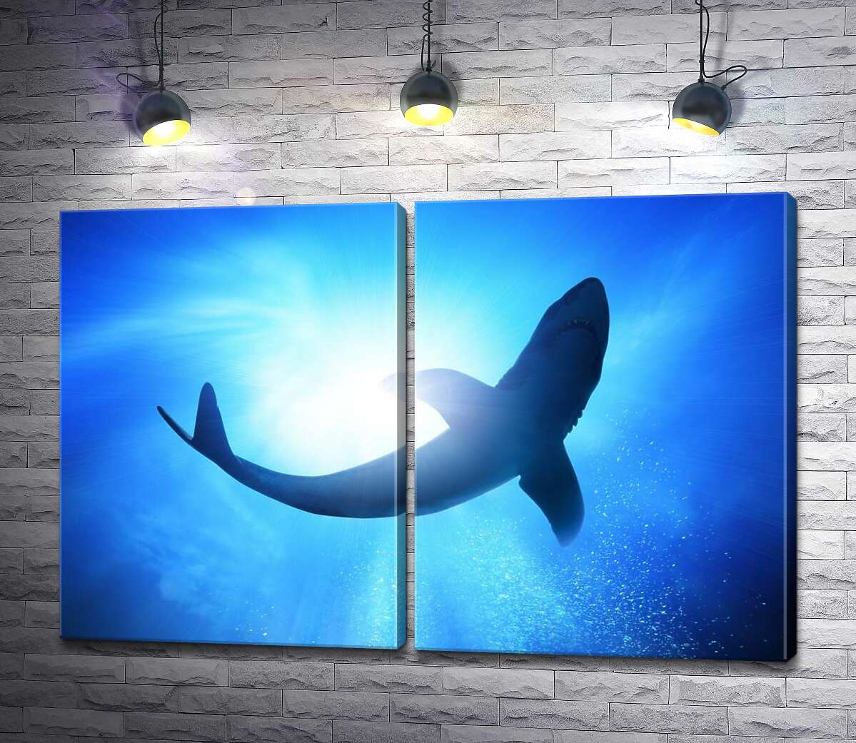 модульна картина Акула в глибинах океану