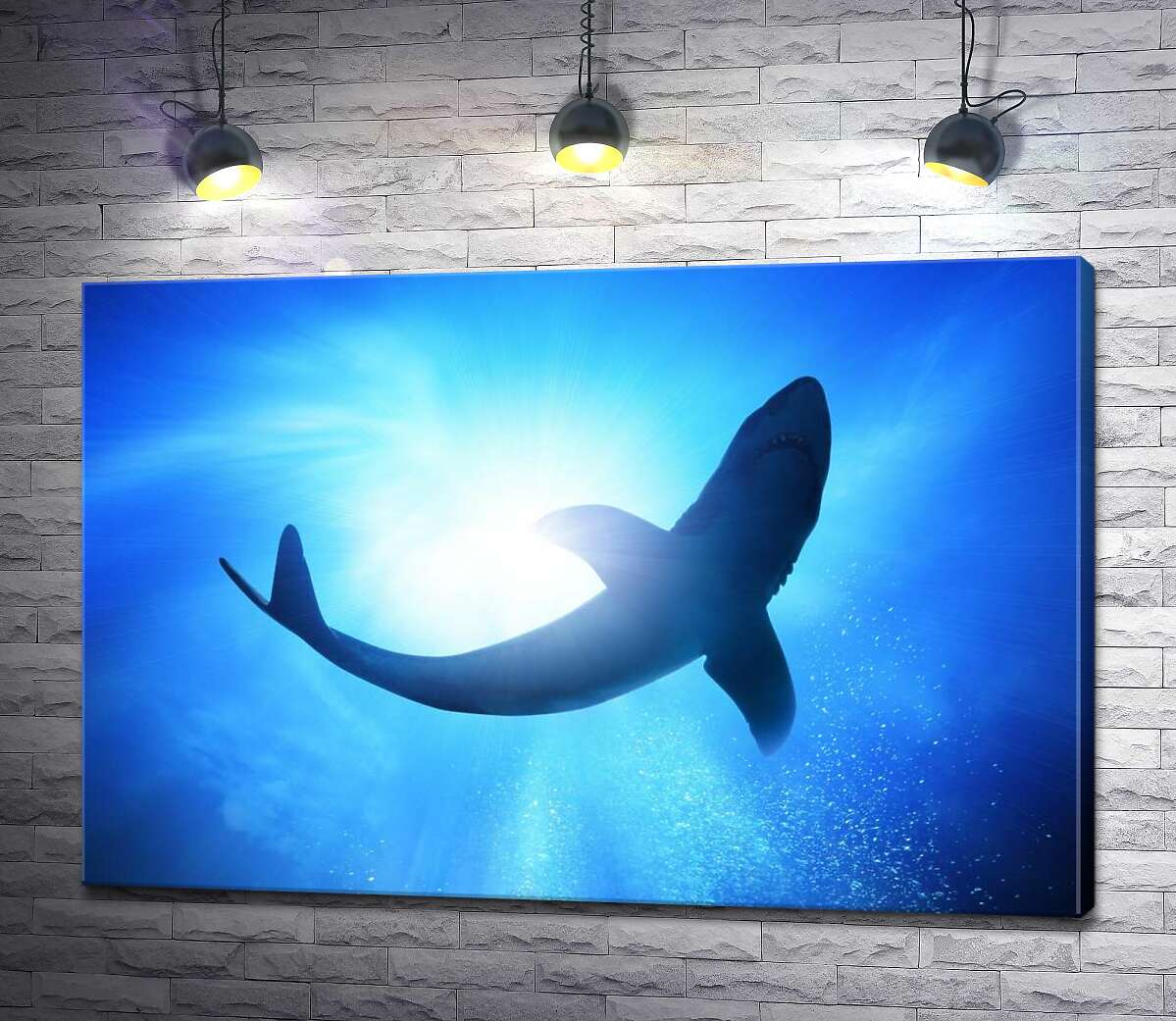 картина Акула в глибинах океану