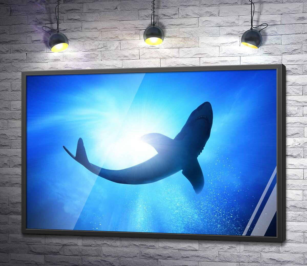 постер Акула в глубинах океана