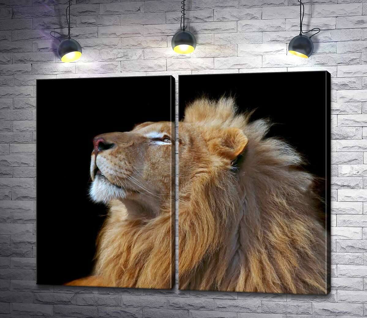модульна картина Царствений профіль лева