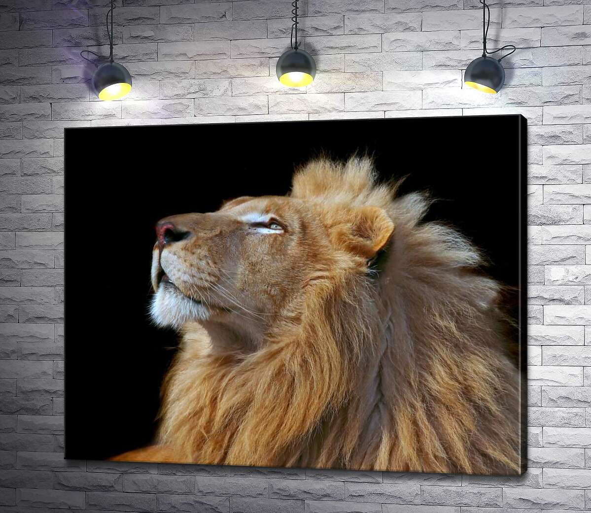 картина Царствений профіль лева
