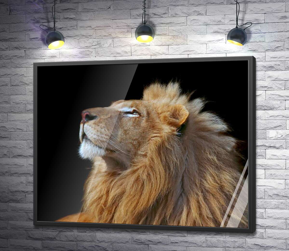 постер Царственный профиль льва