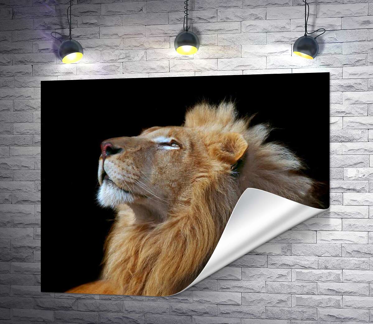 печать Царственный профиль льва