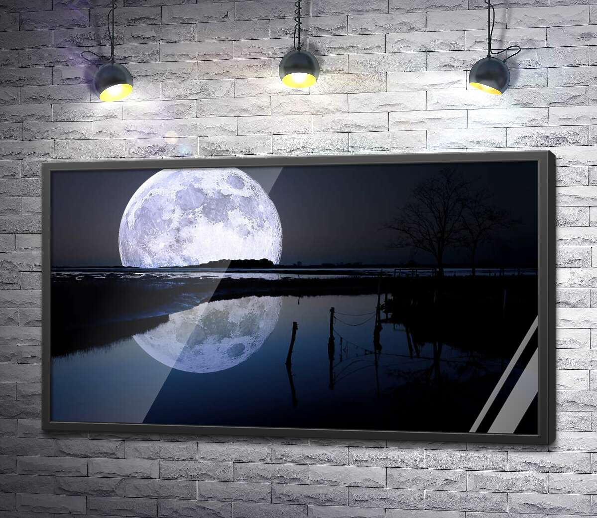 постер Плямистий місяць навис над темним болотом
