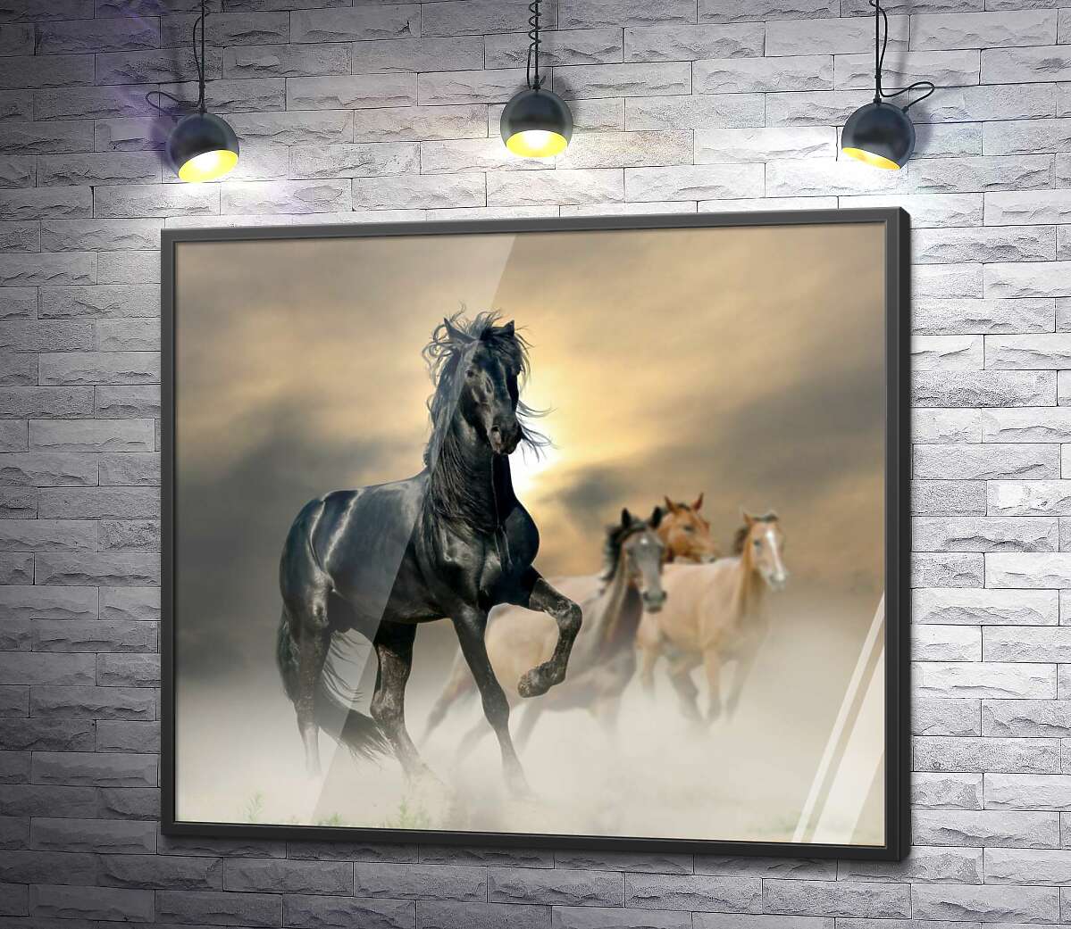 постер Изящная фигура вороной лошади выделяется среди табуна