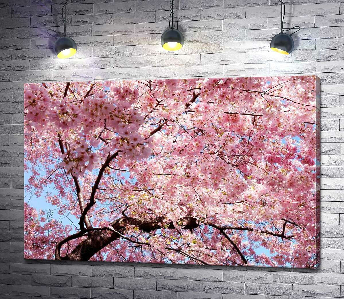 картина Нежно-розовое цветение вишен весной