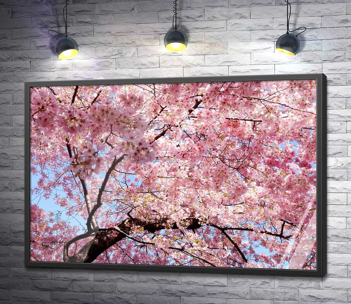 постер Нежно-розовое цветение вишен весной
