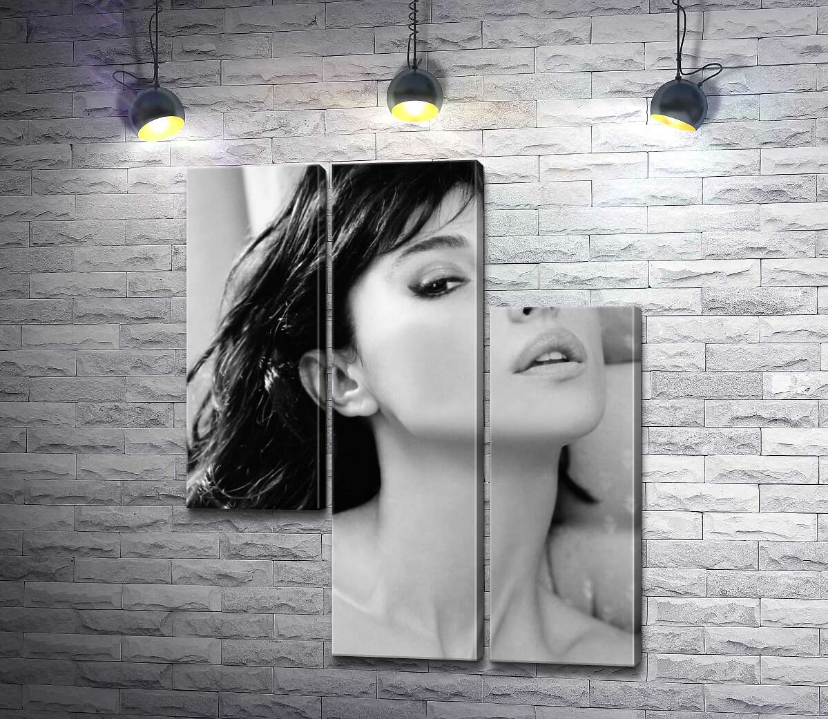 модульная картина Откровенный взгляд Моники Беллуччи (Monica Bellucci) (Модуль №13)