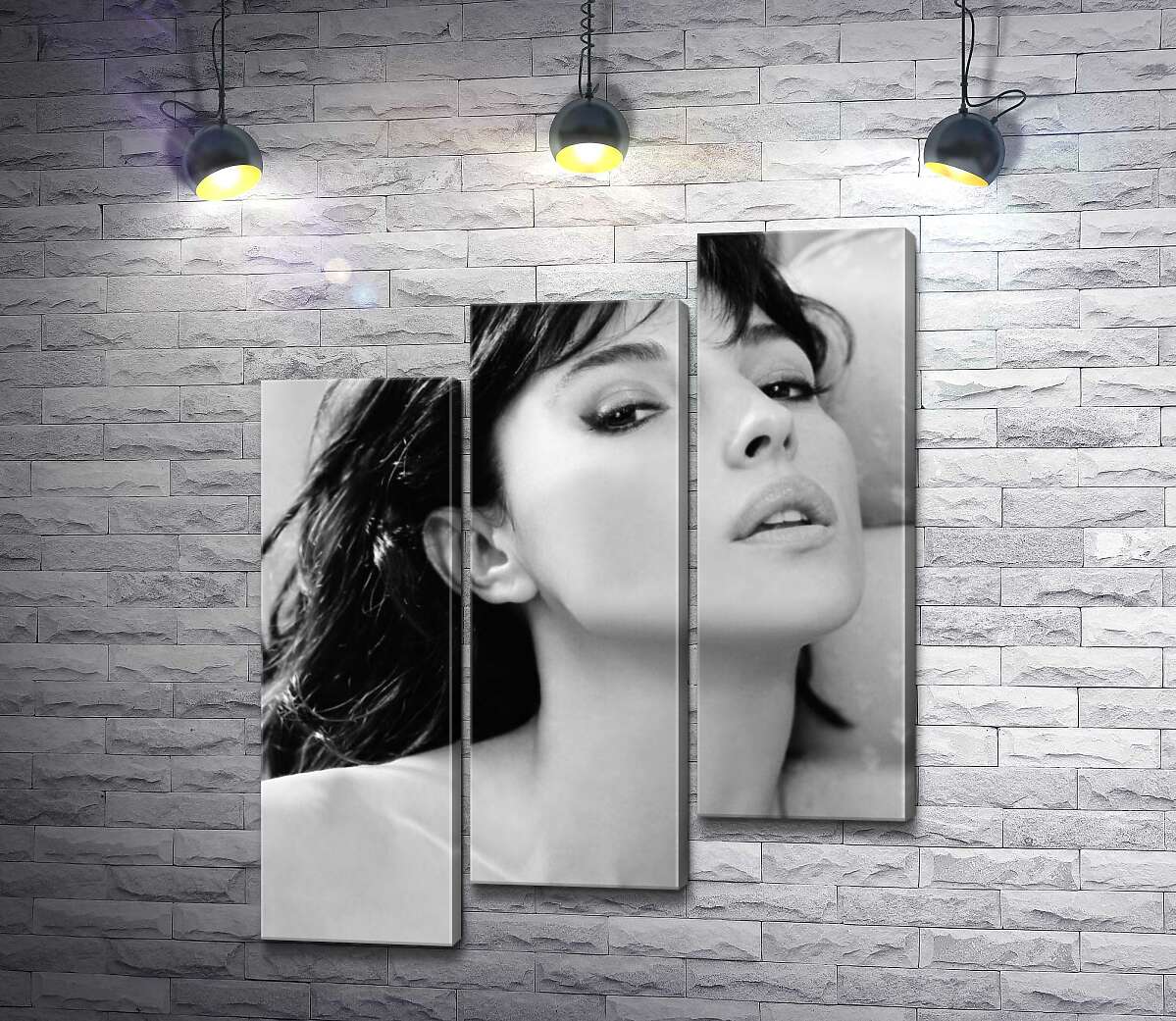 модульная картина Откровенный взгляд Моники Беллуччи (Monica Bellucci) (Модуль №14)