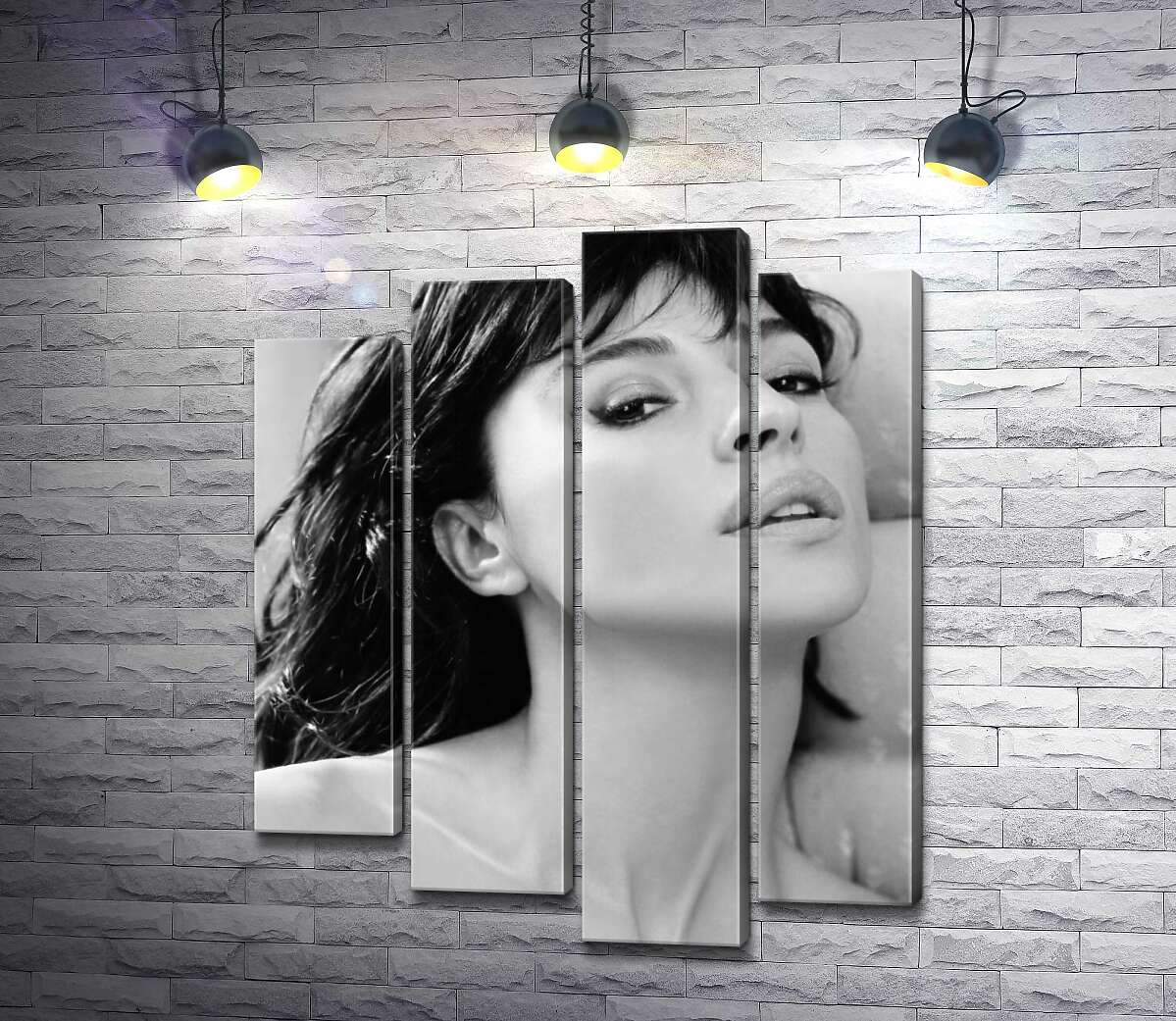 модульная картина Откровенный взгляд Моники Беллуччи (Monica Bellucci) (Модуль №3)