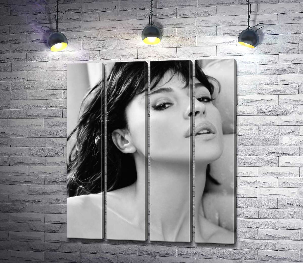 модульная картина Откровенный взгляд Моники Беллуччи (Monica Bellucci) (Модуль №24)