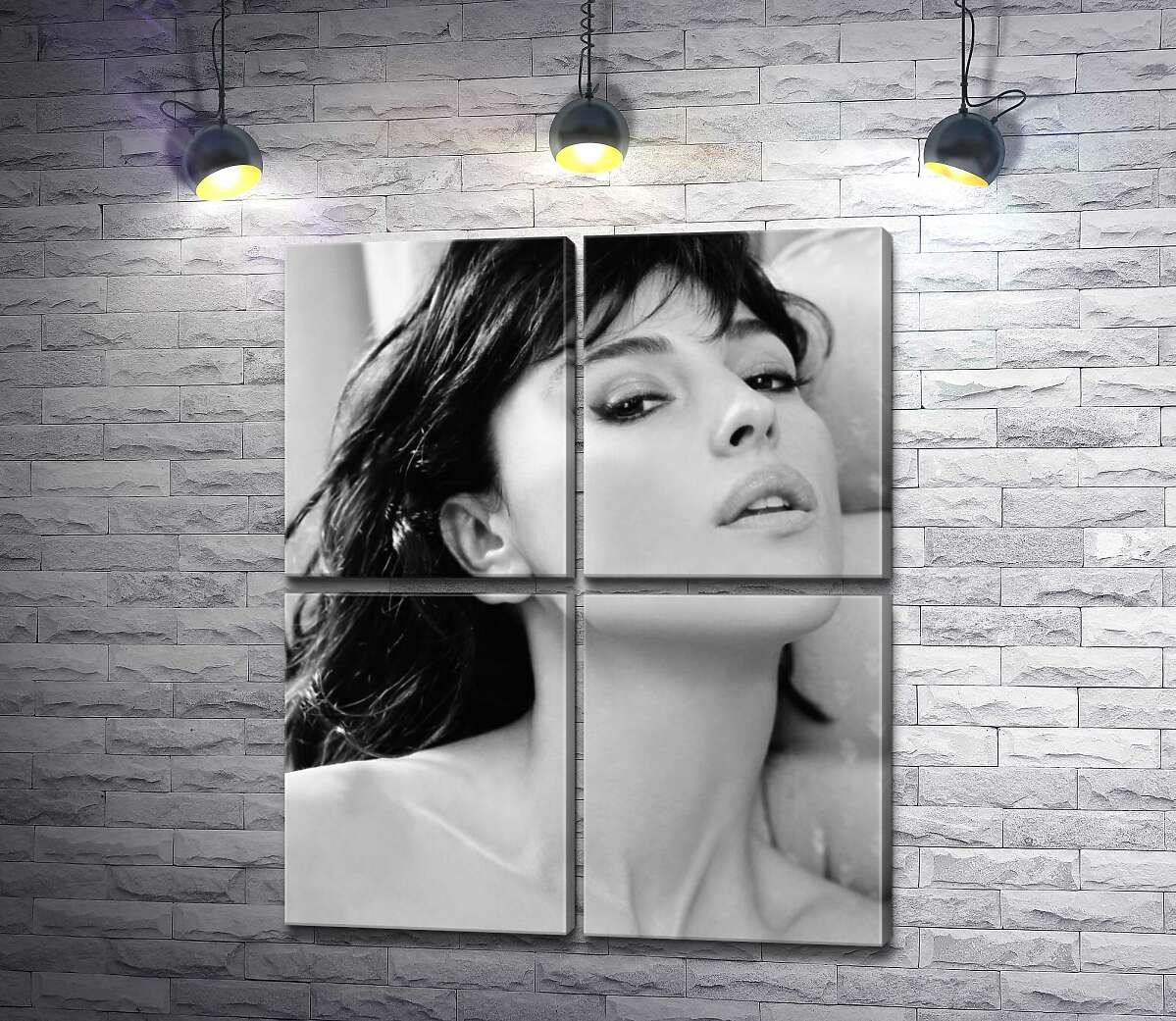 модульная картина Откровенный взгляд Моники Беллуччи (Monica Bellucci) (Модуль №25)