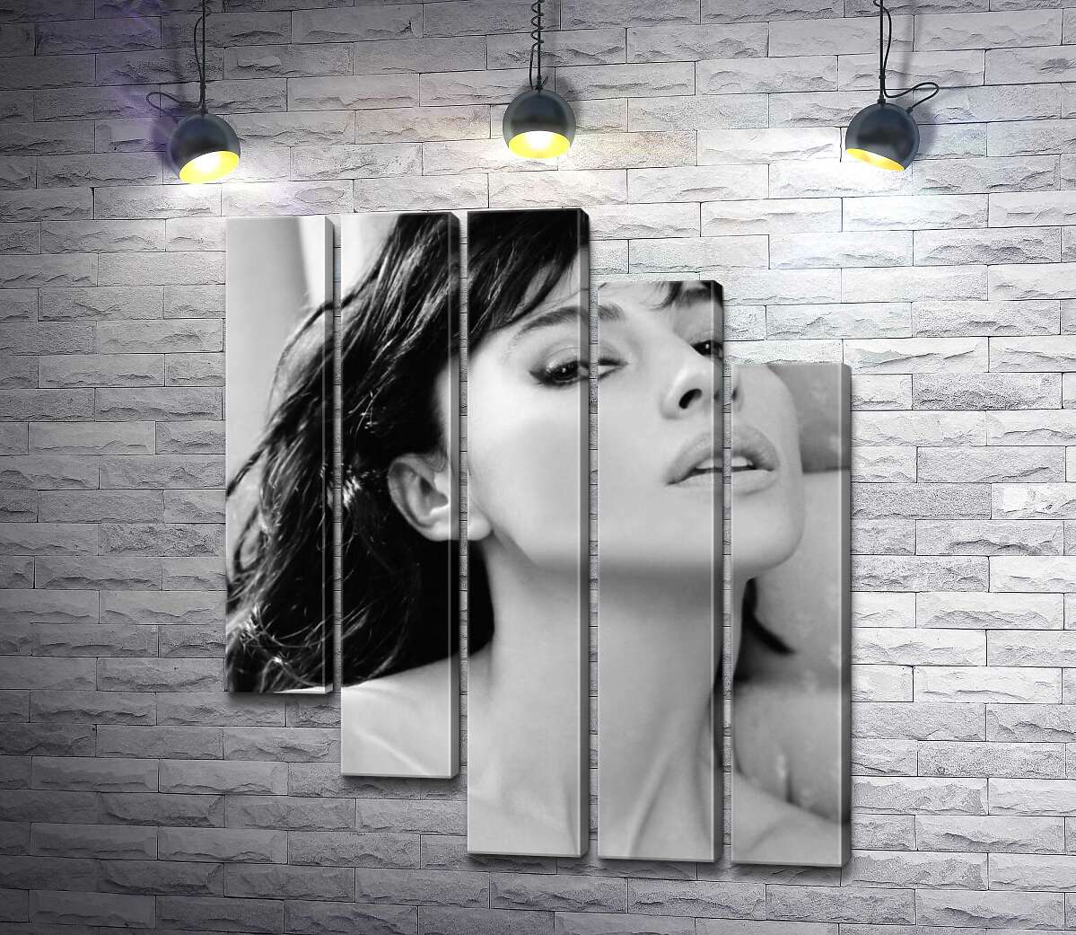 модульная картина Откровенный взгляд Моники Беллуччи (Monica Bellucci) (Модуль №28)