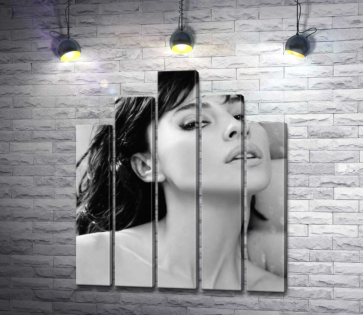 модульная картина Откровенный взгляд Моники Беллуччи (Monica Bellucci) (Модуль №29)
