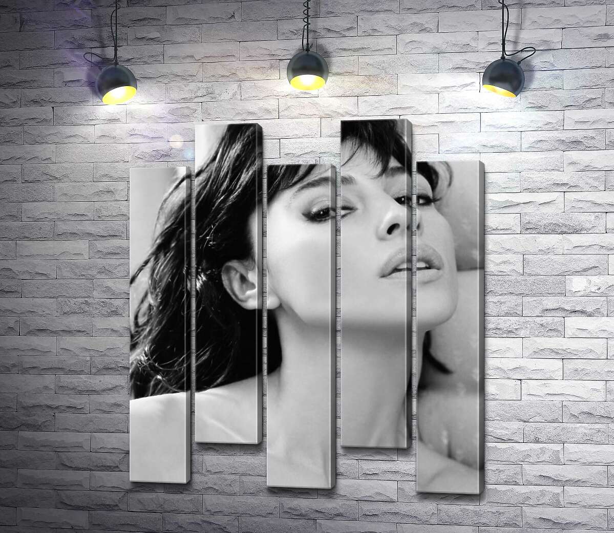 модульная картина Откровенный взгляд Моники Беллуччи (Monica Bellucci) (Модуль №30)