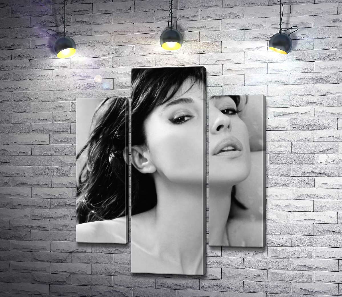 модульная картина Откровенный взгляд Моники Беллуччи (Monica Bellucci) (Модуль №10)
