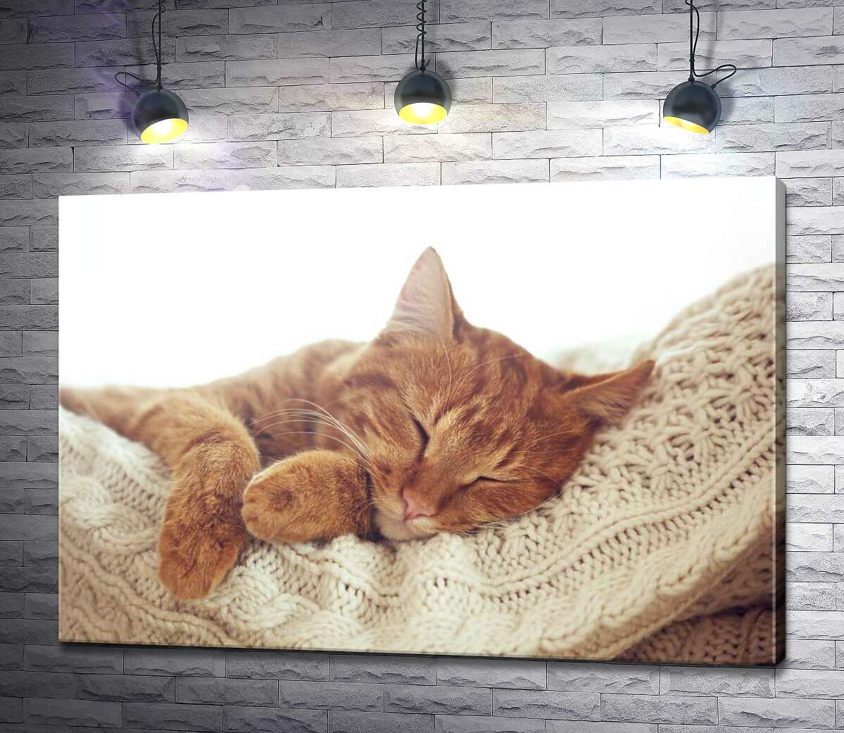 картина Кіт мило відпочиває на білій подушці