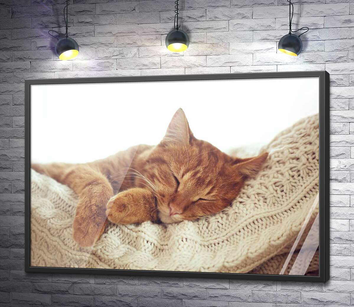 постер Кот мило отдыхает на белой подушке