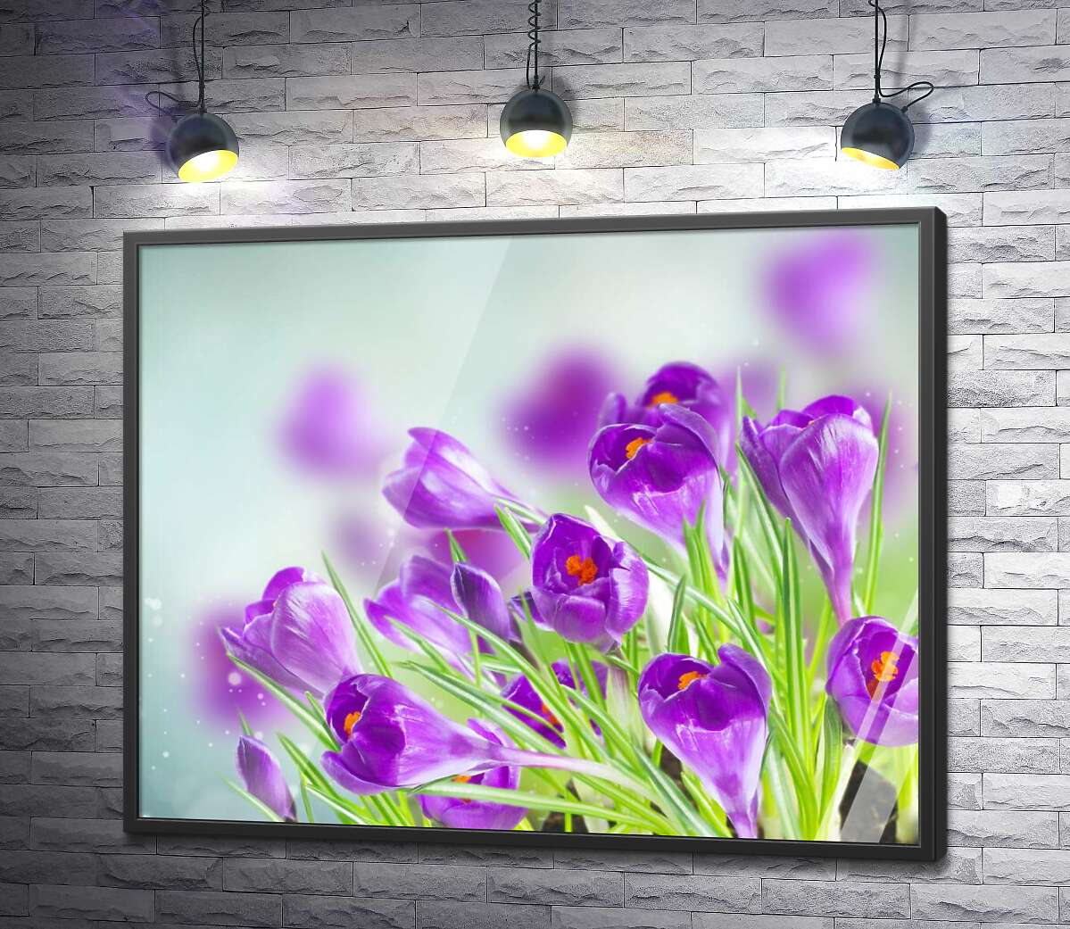 постер Весняний подих фіолетових крокусів