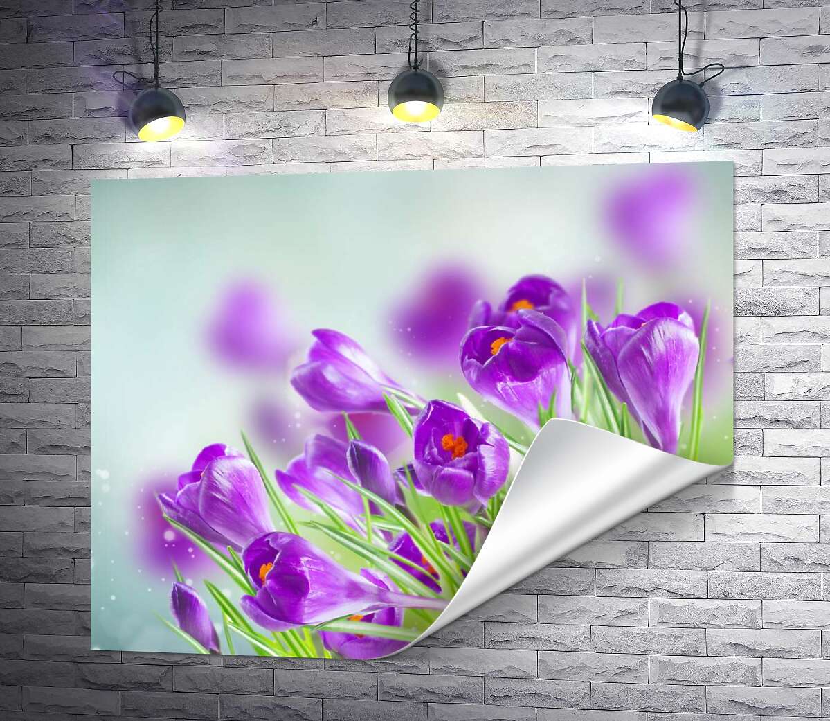 друк Весняний подих фіолетових крокусів