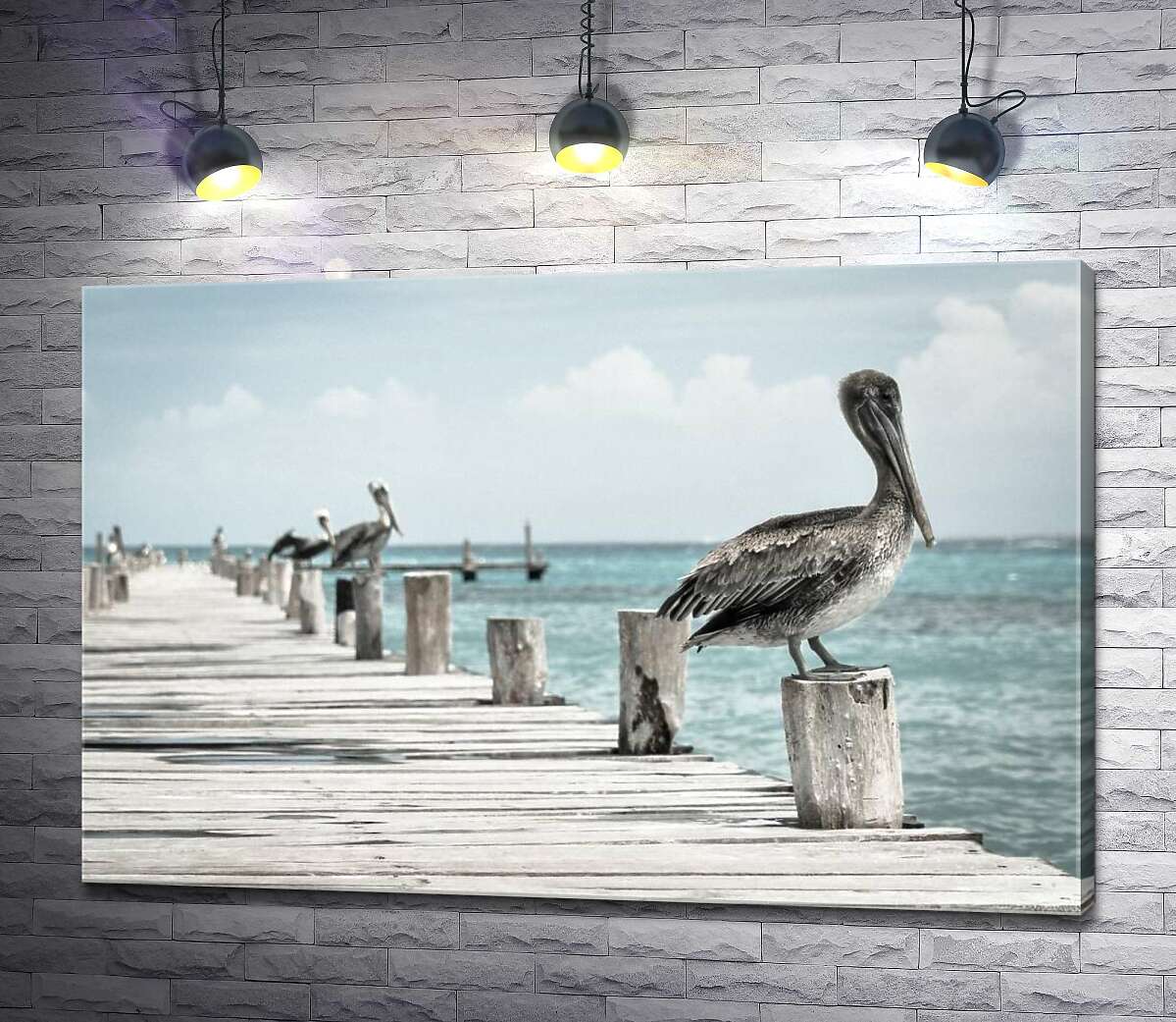 картина Пастельна велич пеліканів на пірсі