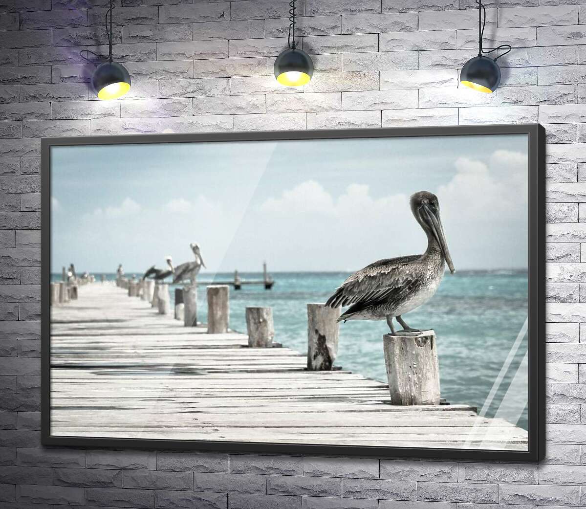 постер Пастельна велич пеліканів на пірсі