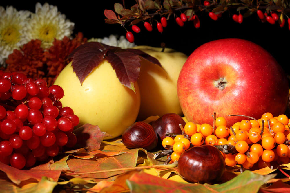 картина-постер Осенний натюрморт: яблоки, калина, облепиха и каштаны на желтых листьях