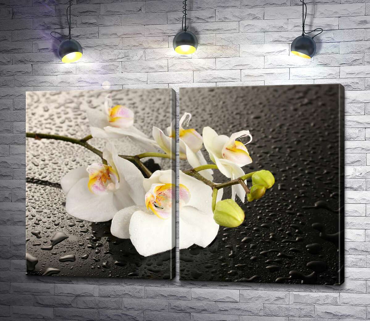 модульна картина Гілка білих орхідей на орошеній водою чорній поверхні