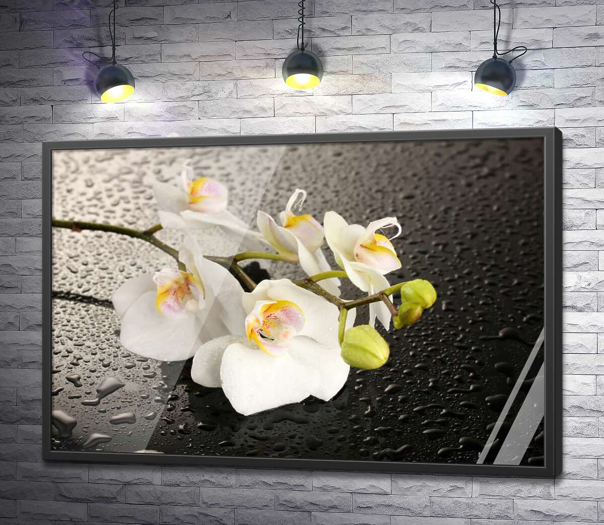 постер Ветвь белых орхидей на орошенной водой черной поверхности