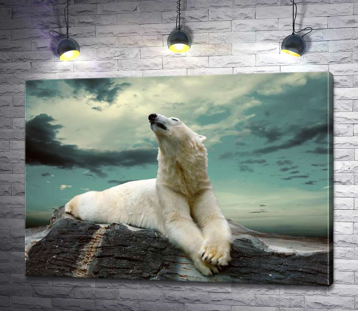 картина Белый медведь отдыхает на камне