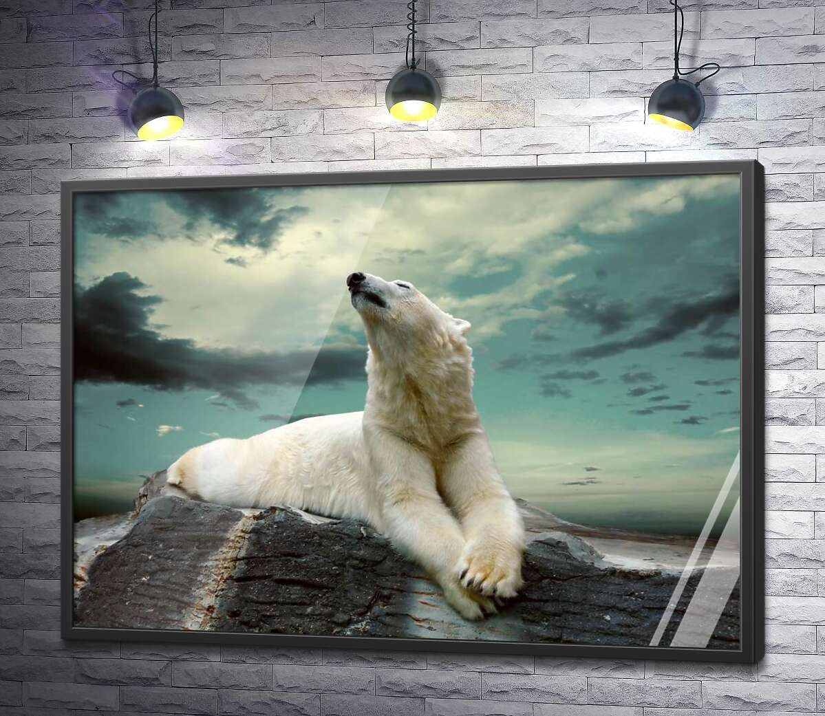 постер Білий ведмідь відпочиває на камені