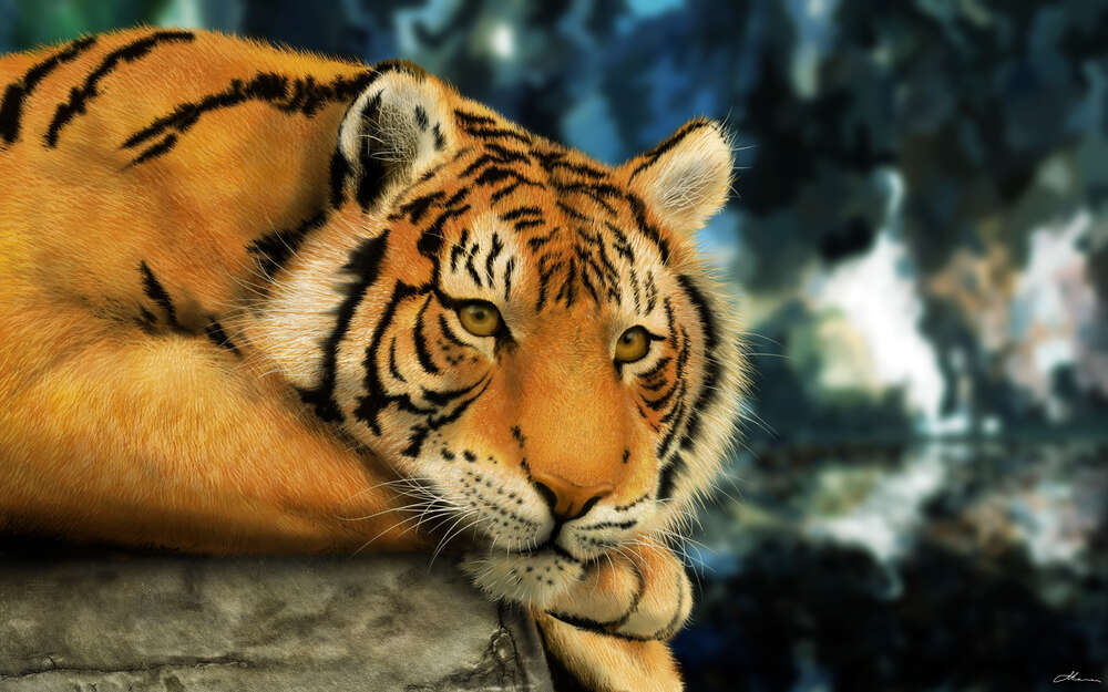 картина-постер Бенгальский тигр отдыхает