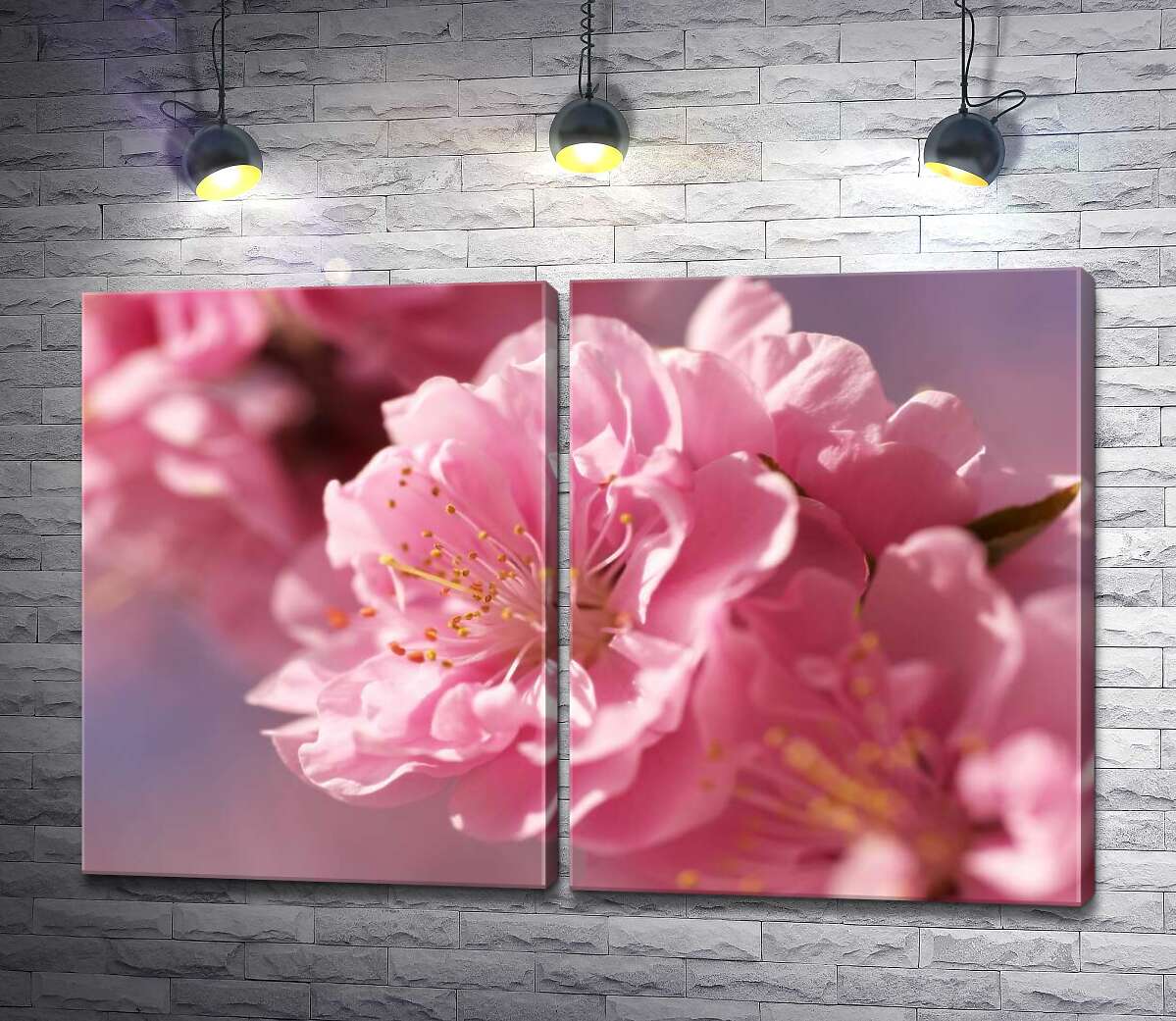модульна картина Шовковисті пелюстки цвіту сакури
