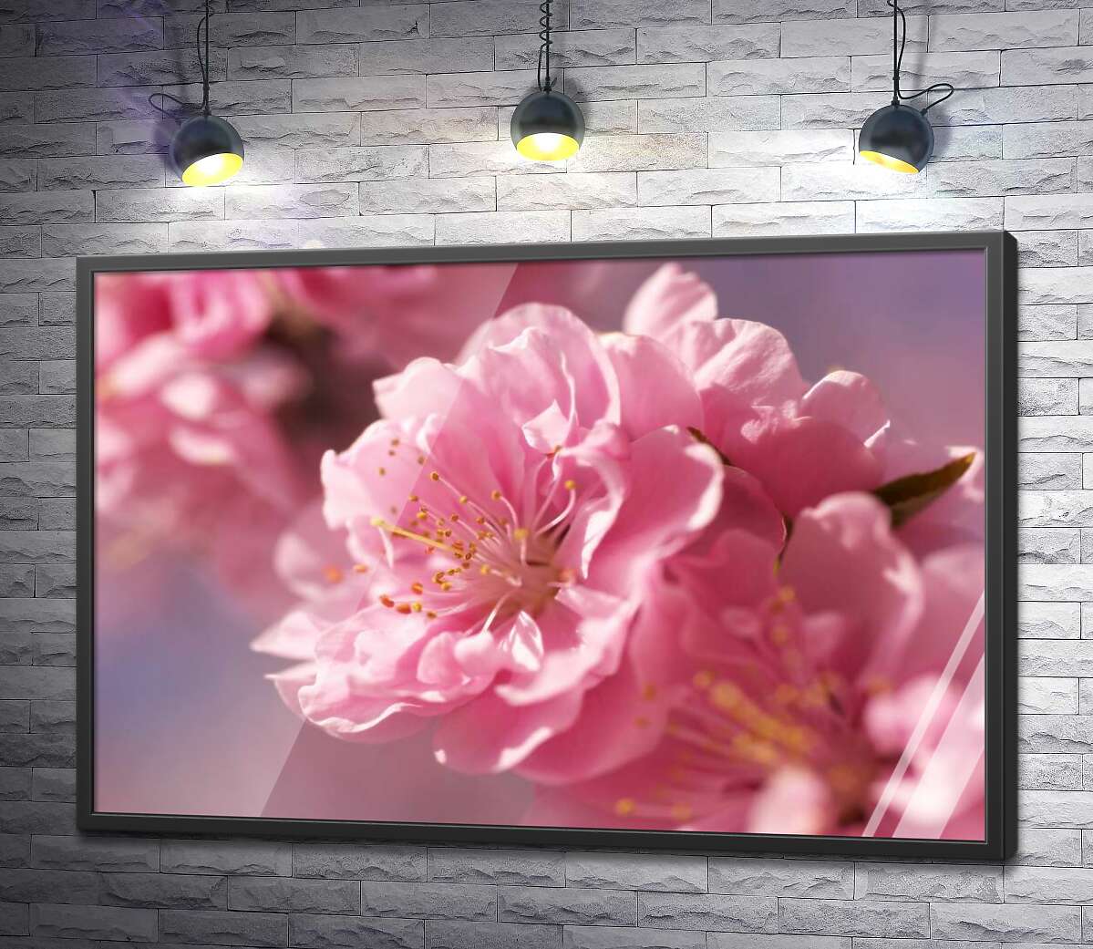 постер Шовковисті пелюстки цвіту сакури