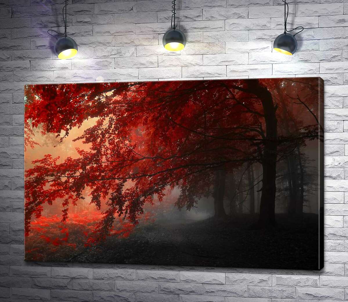 картина Красные кроны деревьев в тени осеннего леса