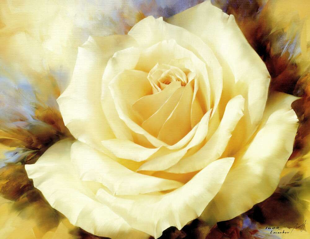 картина-постер Пишна троянда - Ігор Левашов (Igor Levashov)