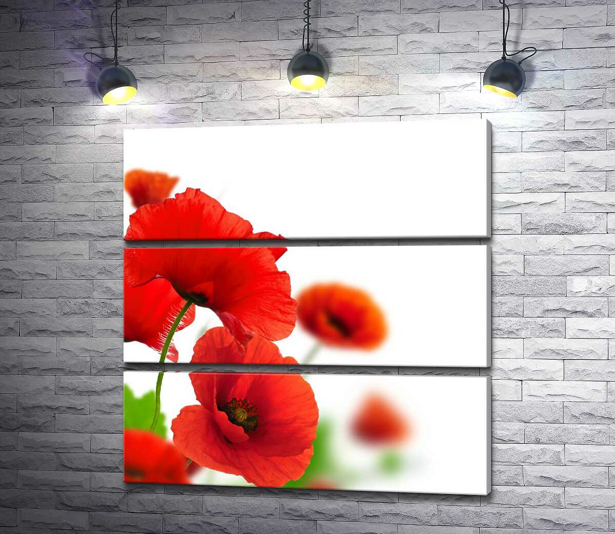 модульна картина Розкішні голівки червоних маків на тендітних стеблах (Модуль №15)