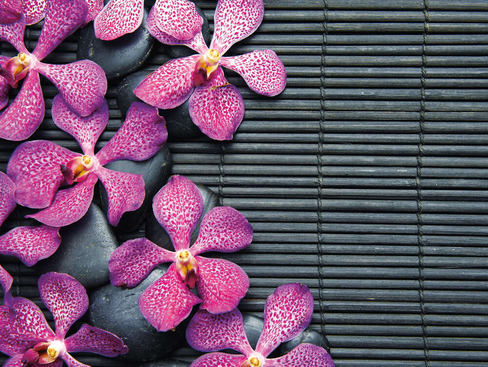картина-постер Візерунок строкатих орхідей та чорних каменів на бамбуковому килимку