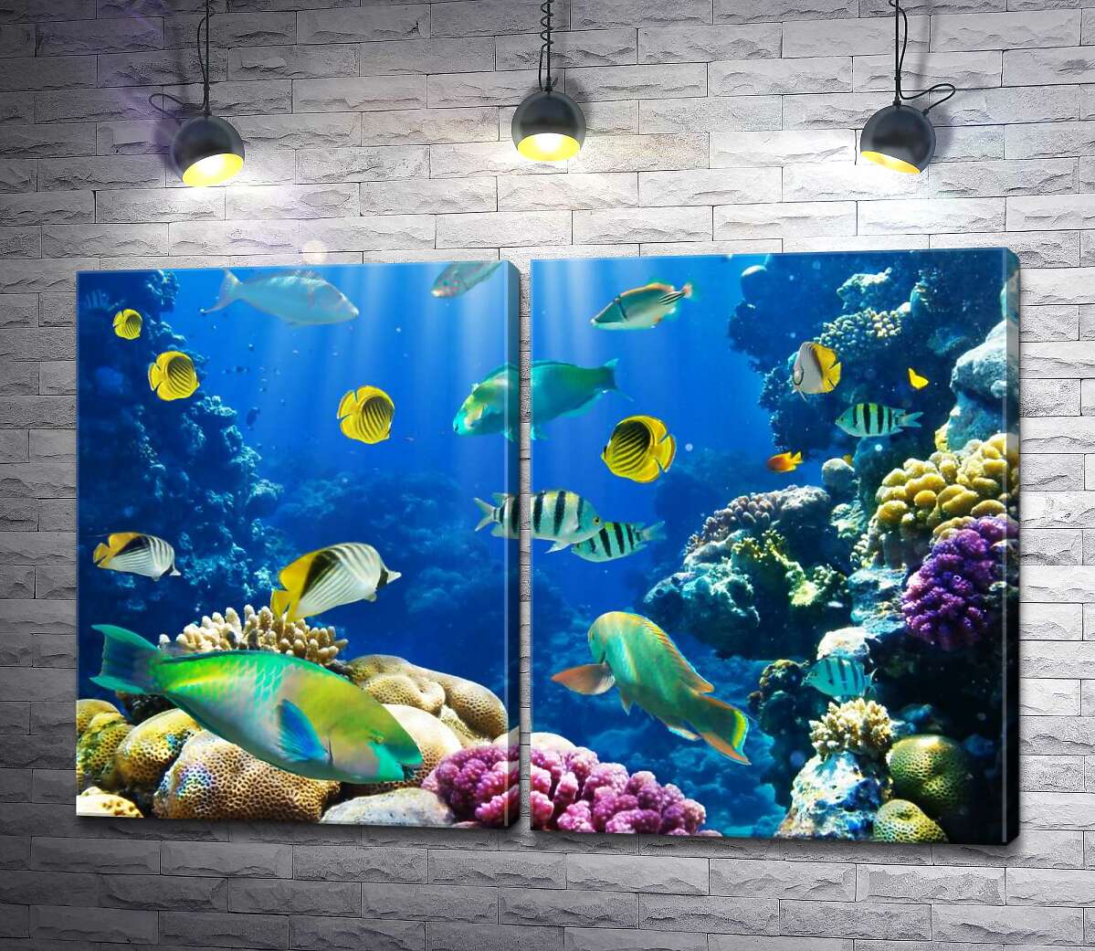модульна картина Краса підводного світу риб та коралів