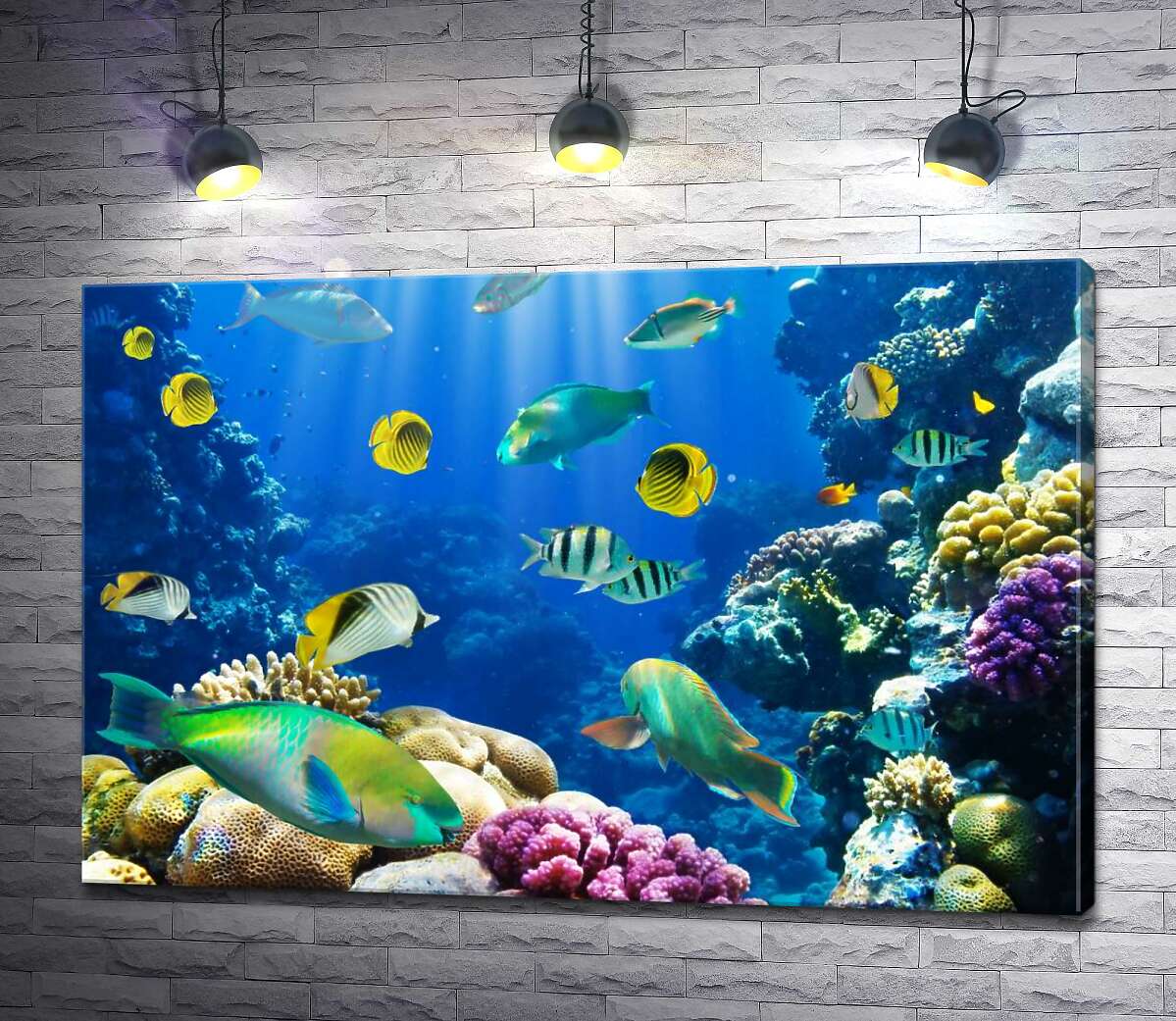 картина Красота подводного мира рыб и кораллов