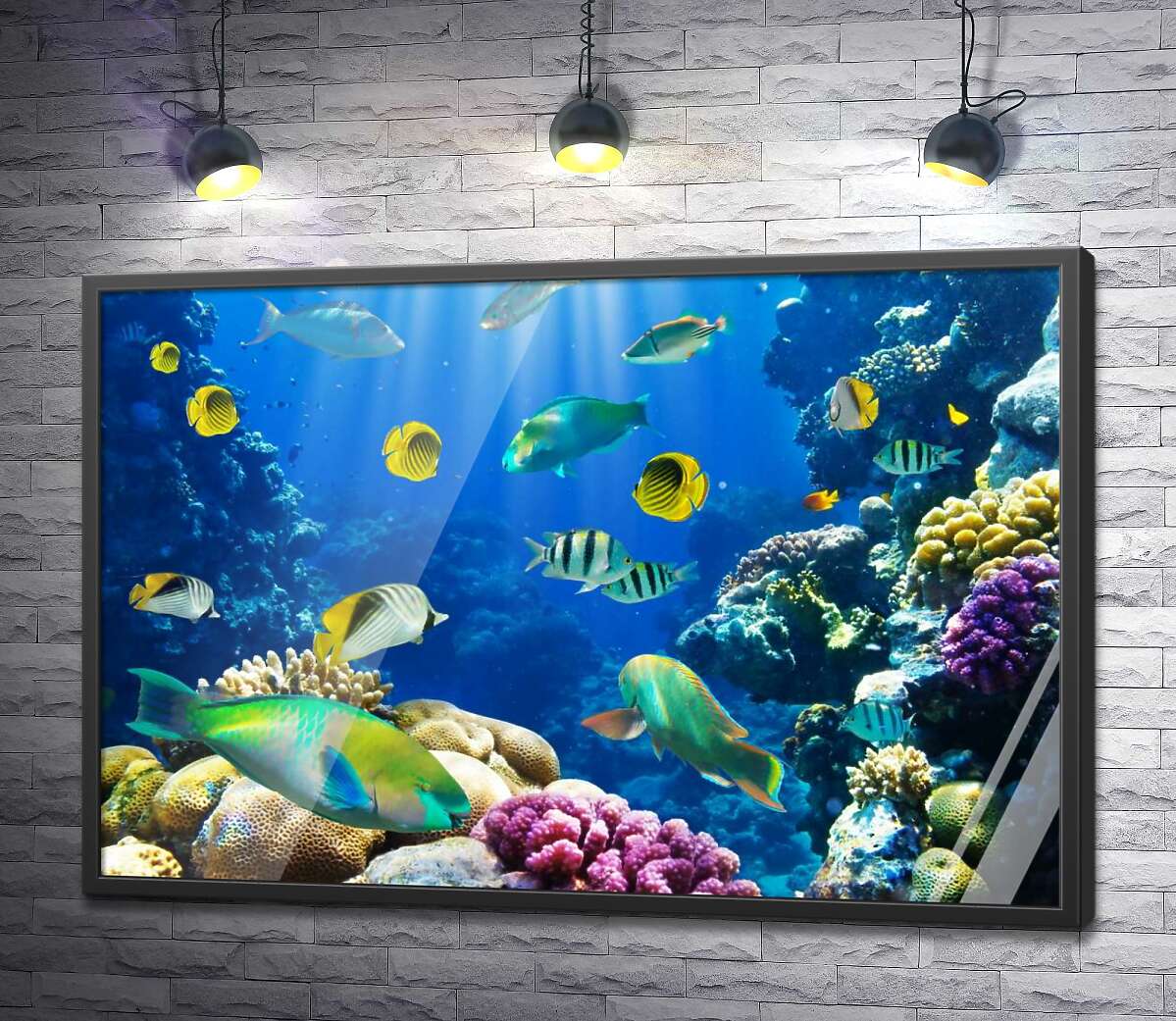 постер Красота подводного мира рыб и кораллов