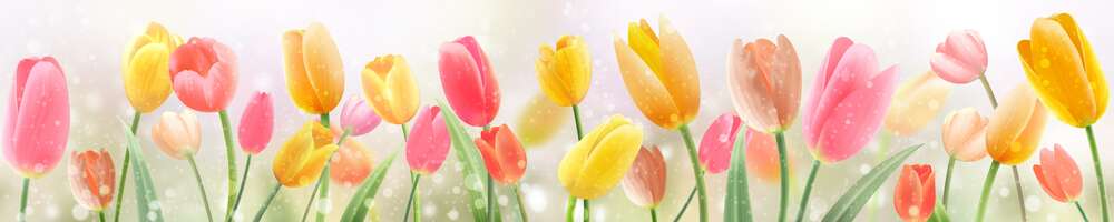 картина-постер Ніжні голівки яскравих тюльпанів