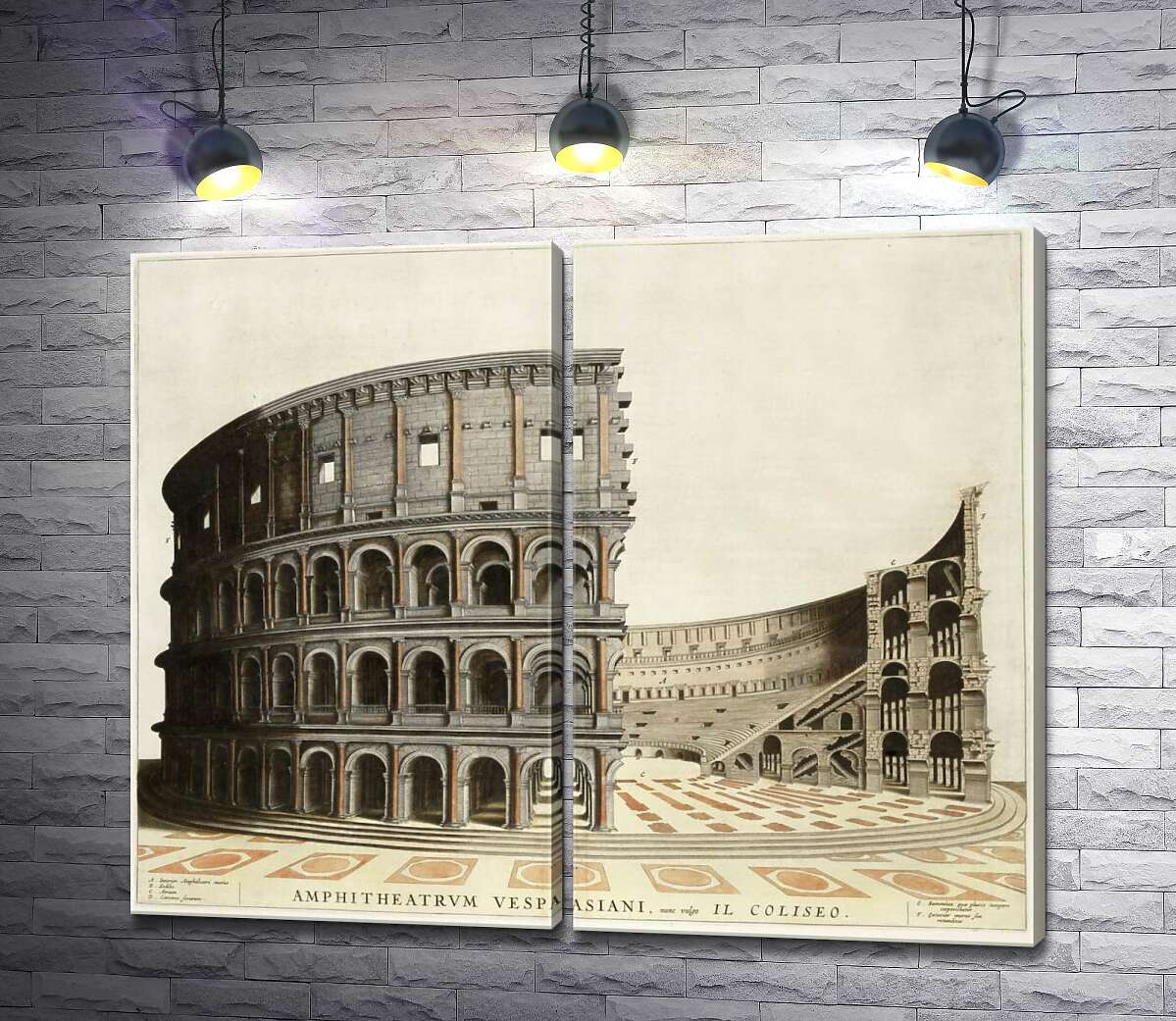 модульная картина Строение римского Колизея (Colosseum) в разрезе