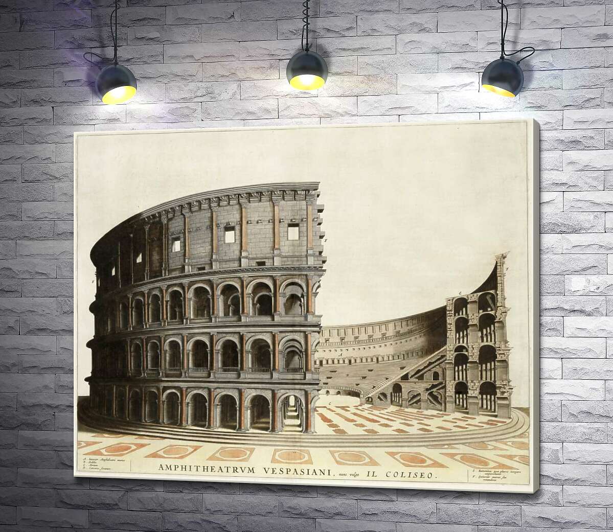 картина Строение римского Колизея (Colosseum) в разрезе