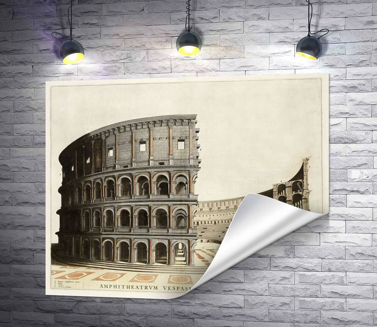 друк Будова римського Колізею (Colosseum) в розрізі